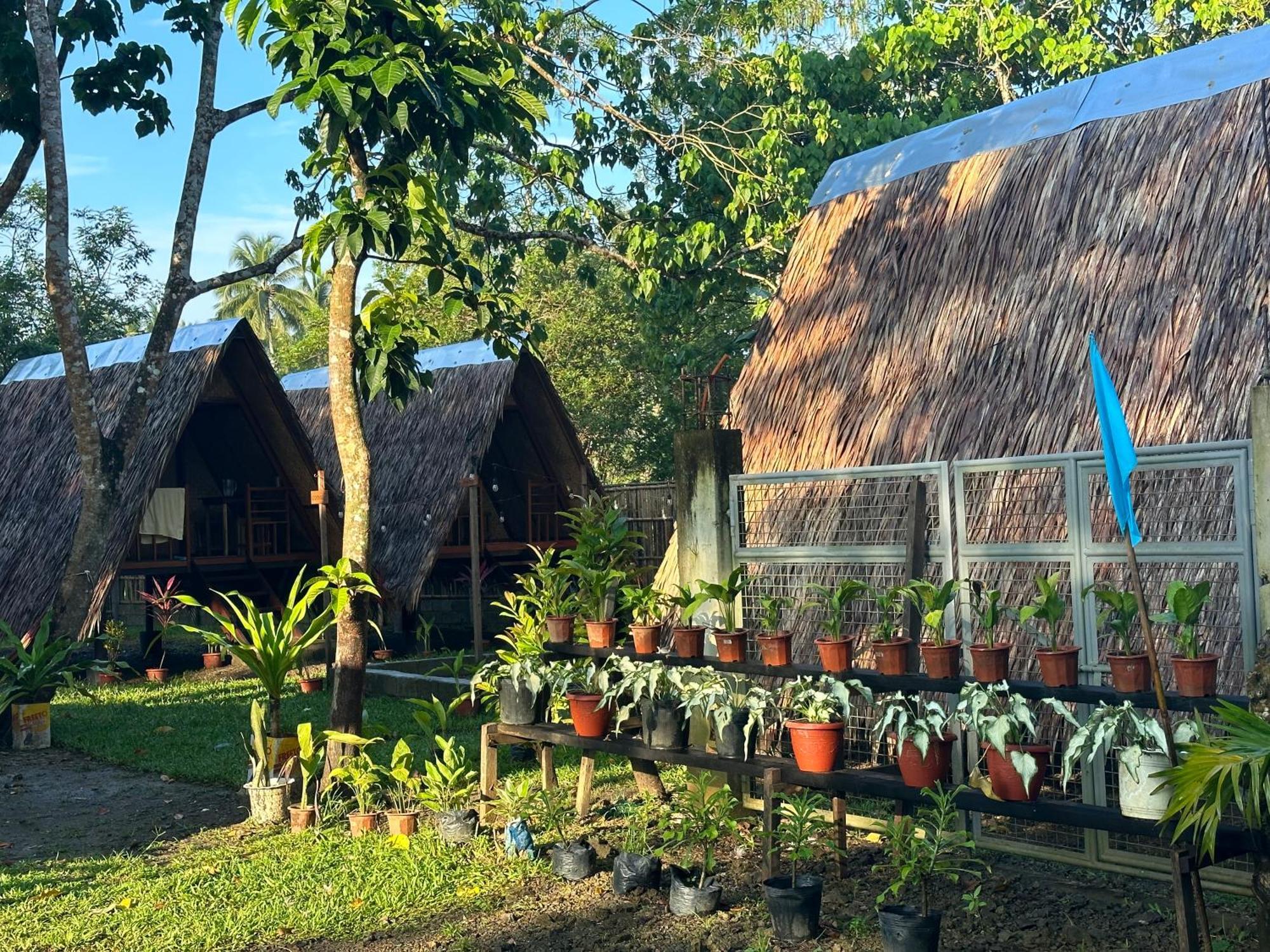 Hotel Hiraya Camp Site - Free Use Of Scooter For Nipa Huts El Nido Esterno foto
